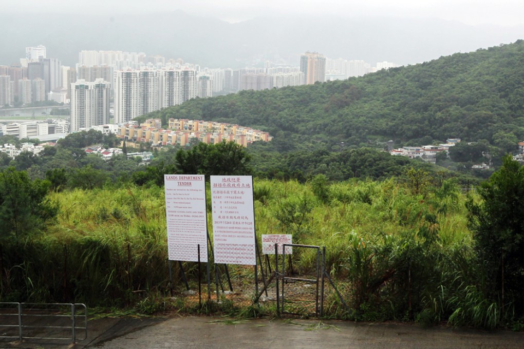 A site in Sha Tin's Kau To. Photo: Nora Tam