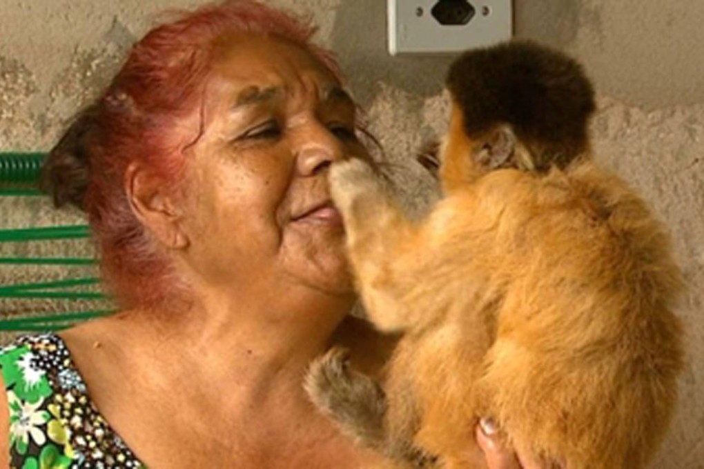 Elizete Carmona shares a tender moment with her pet Chico before the tufted capuchin was taken away by police.Photo: SCMP Pictures