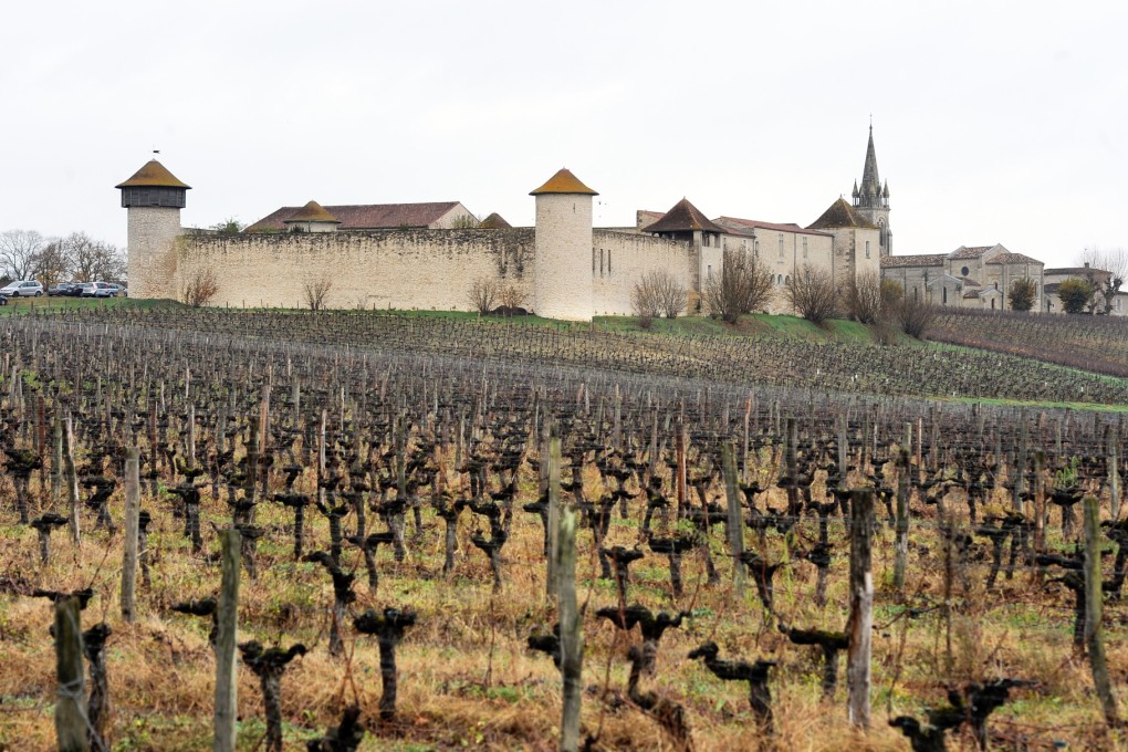 The Branda castle and vineyards that were purchased by Chinese investors in 2011. Photo: AFP