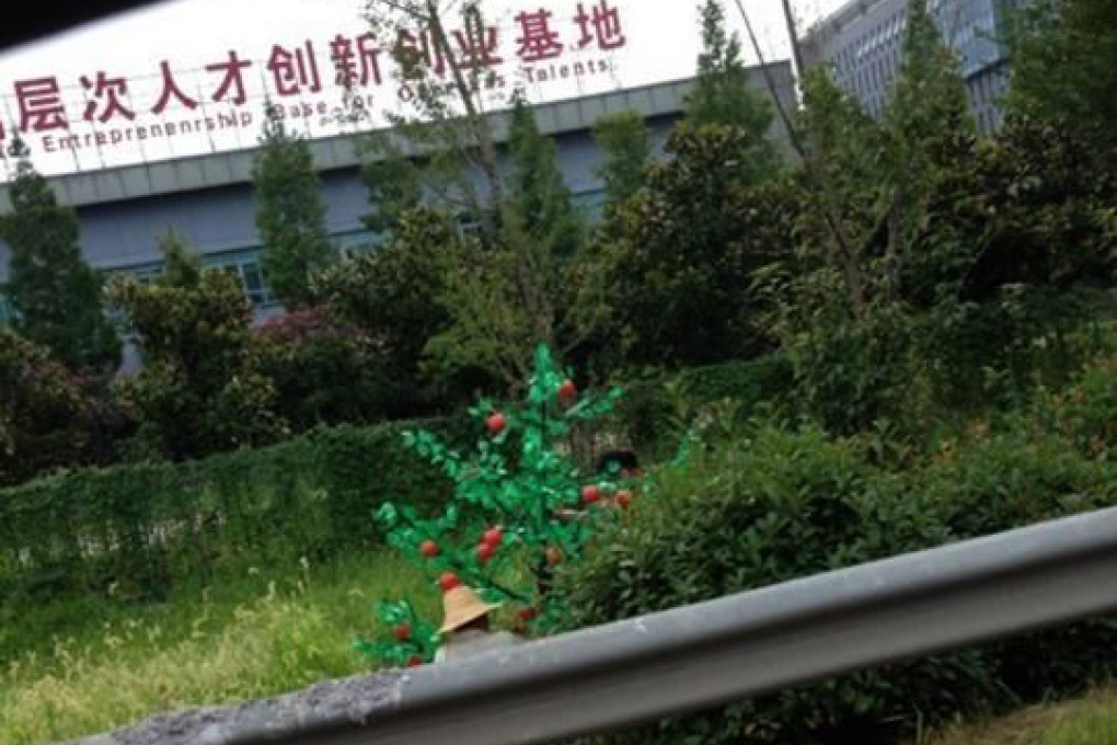 Workers plant plastic trees along a highway in Nanjing. Photo: Screenshot via Weibo