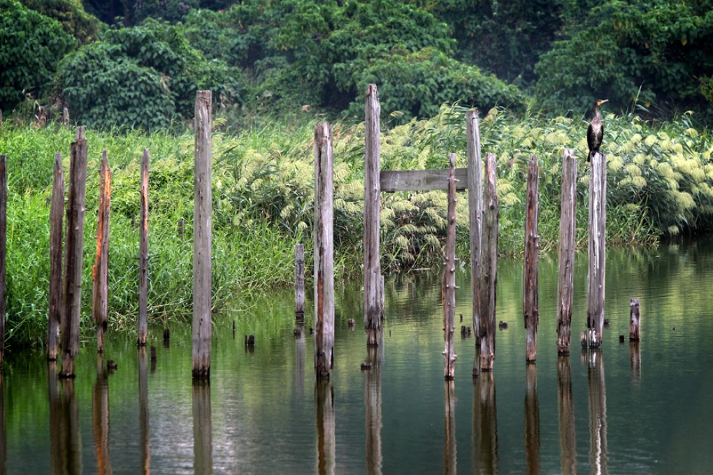 Fung Lok Wai fish ponds. Photo: K. Y. Cheng