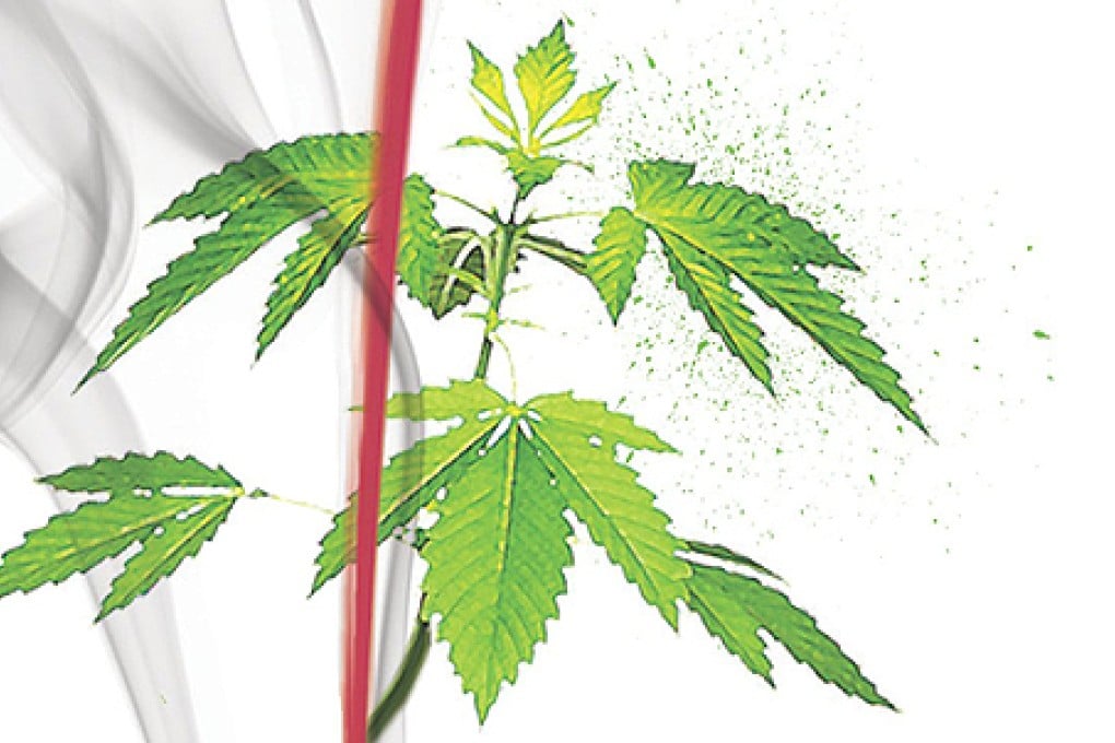 Cannabis debate in Hong Kong not cut and dried