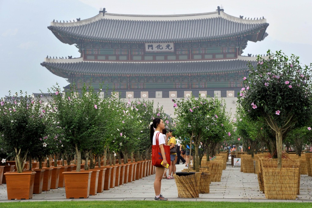 A woman looks at Roses of Sharon, South Korea's national flower, during the National Flower Festival at Gwanghwamun Square in Seoul. Photo: AFP