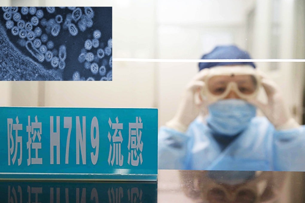 The H7N9 virus was first identified in eastern China, with the first known human case reported in March. Photos: EPA, AP