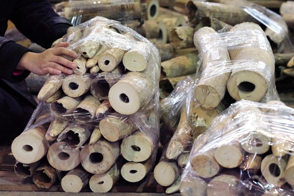 Ivory stockpile a dilemma for government