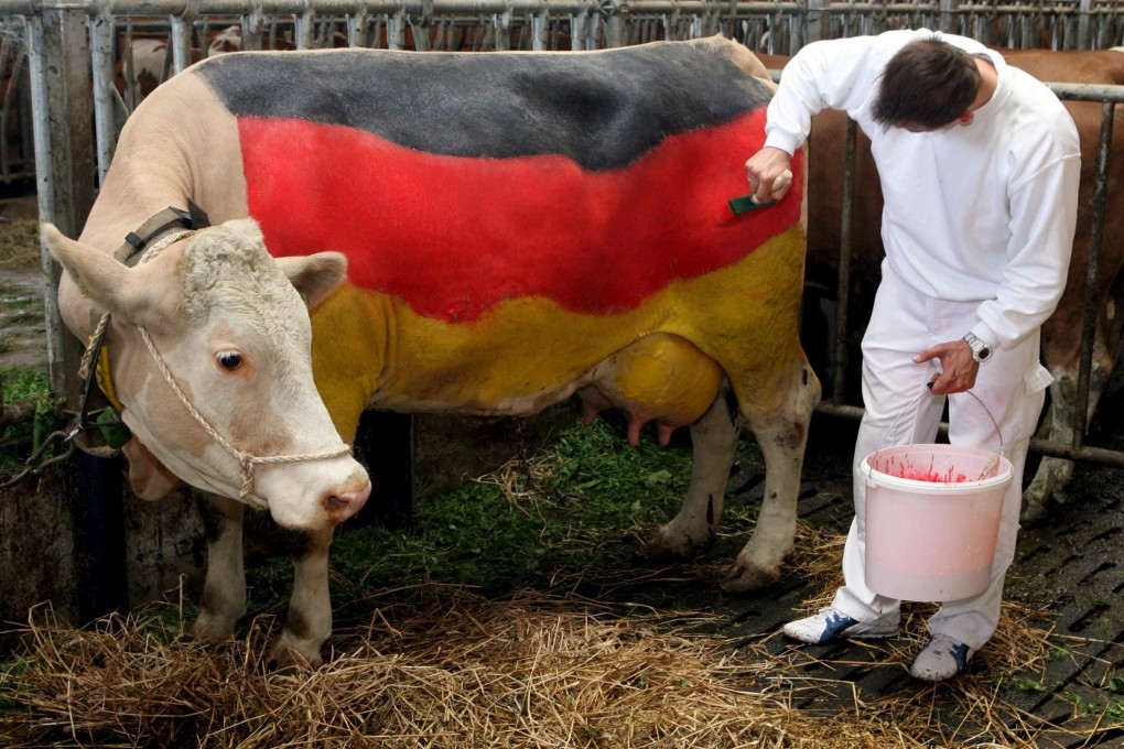 A farmer applies a unique paint job on a cow in Irscheberg, Germany, 20 June 2006. Photo: EPA