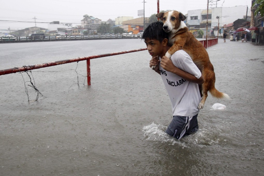 A boy carries his dog whilst wading in floodwaters brought by the monsoon rain. Photo: Reuters