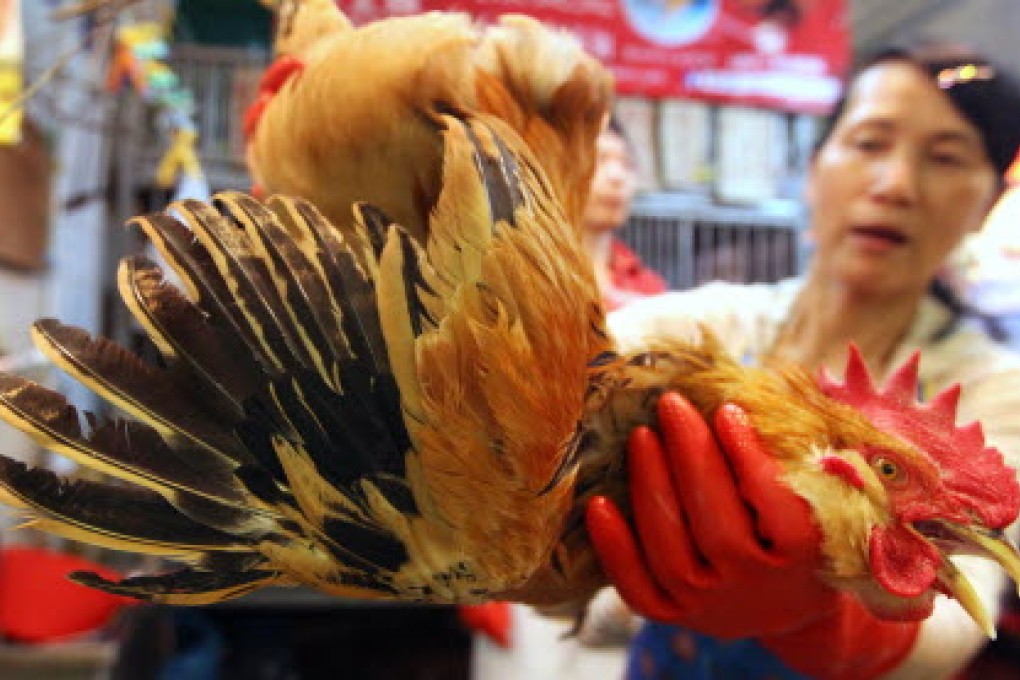 A case of H7N9 has been confirmed in Huizhou, a city just 95 kilometres away from Hong Kong. Photo: Felix Wong
