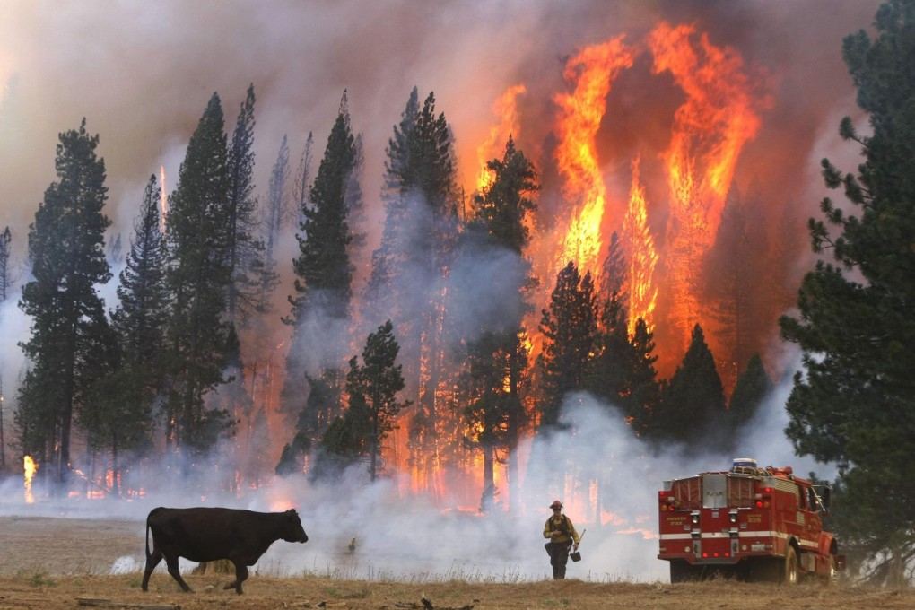 A firefighter moves away from flames from the fast moving blaze near Yosemite National Park in California. Photo: MCT