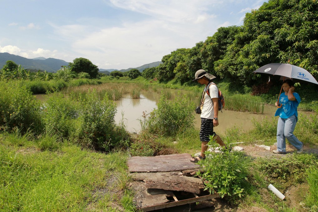 Long Valley is a haven for many bird species. Photo: Edward Wong