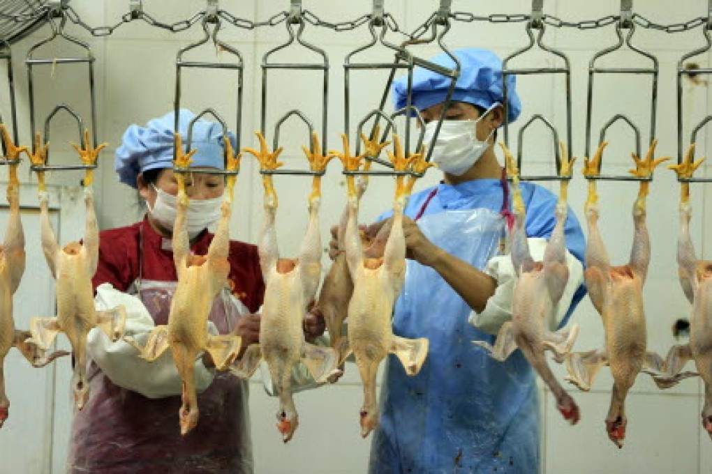 A new study shows unrestricted use of antibiotics by poultry, fish and pig farmers and food producers is a serious problem in China. Photo: EPA