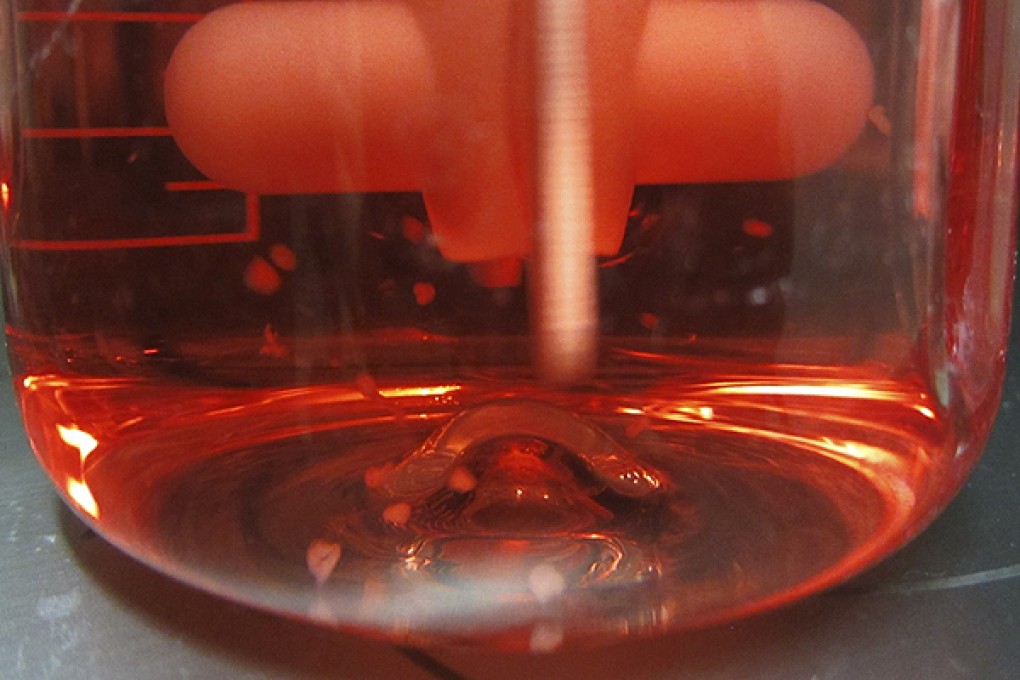 The spinning bioreactor system used for growth of cerebral organoids. Photo: Reuters