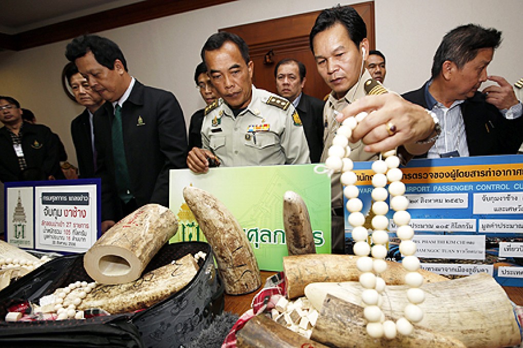 Thai customs officers display confiscated smuggled African elephant tusks during a press conference at Customs Department in Bangkok, Thailand, on Friday. Photo: EPA