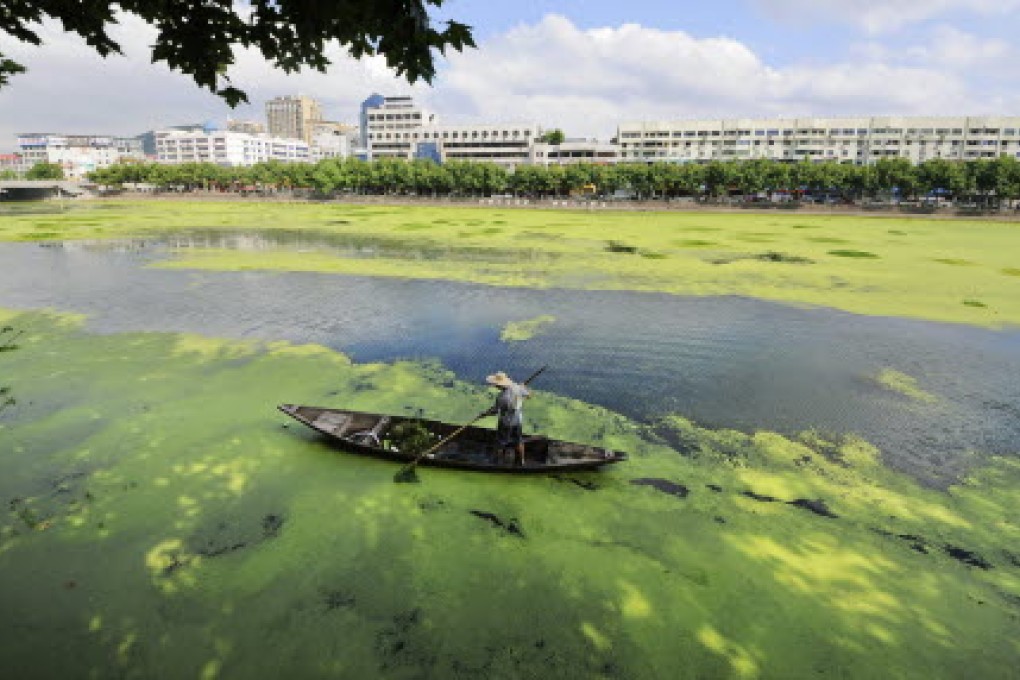 Foreign environmental groups can help China and its companies improve