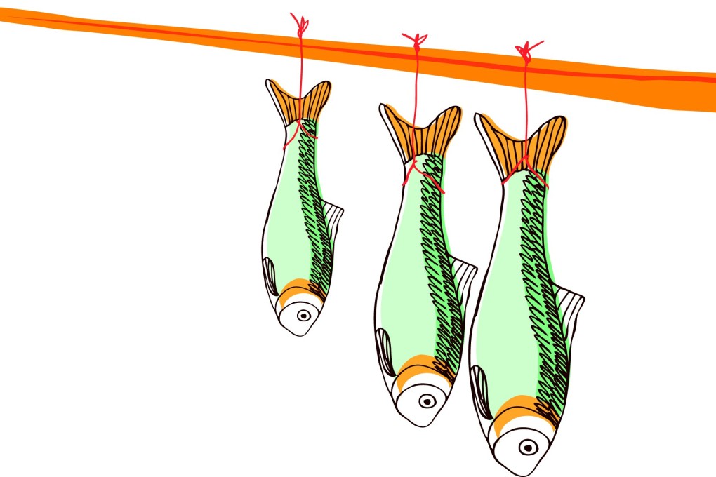 Illustration: Tom Tsang