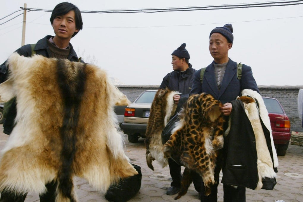illegal fur traders hawk their wares on the backstreets of Beijing. Photos: SCMP Pictures