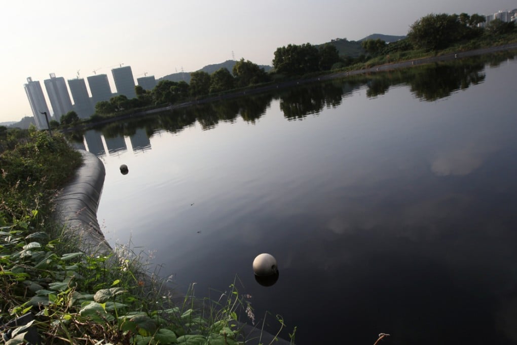 Experts say New Territories plan can go ahead as long as conditions - such as ensuring the survival of fish and birds in the area - are met. Photo: David Wong