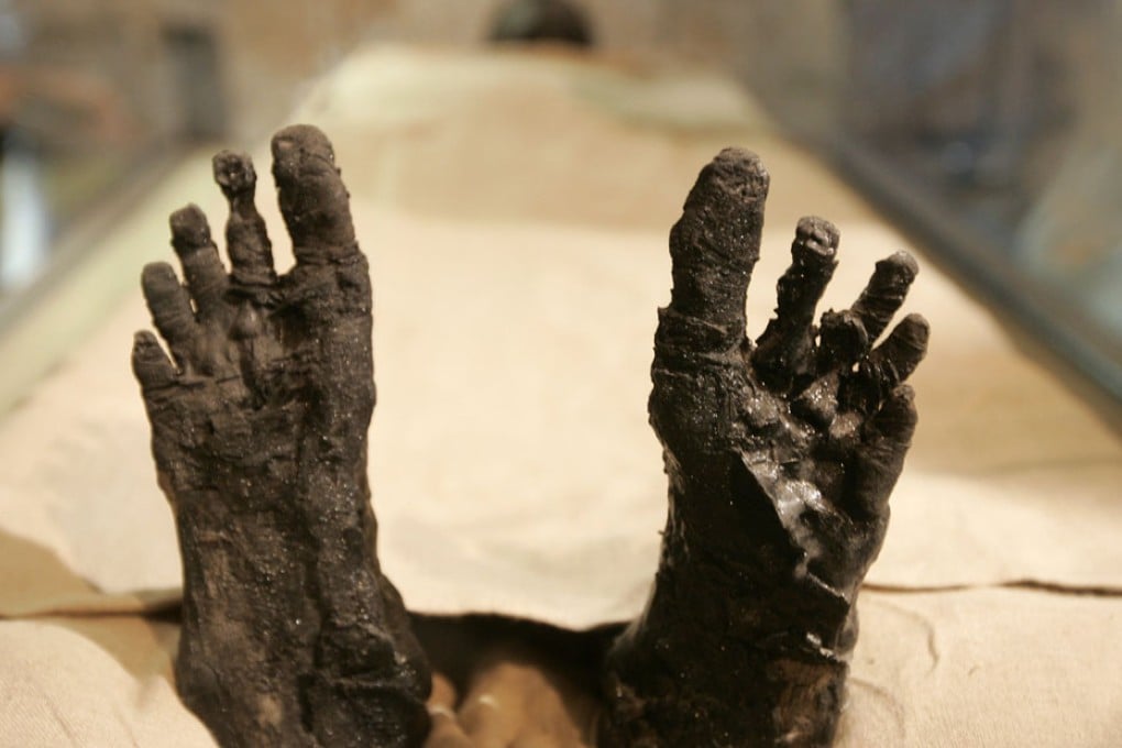 The study took radiocarbon measurements from more than 100 samples of hair, bones and plants found at burial sites and held in museum collections today. Photo: AP