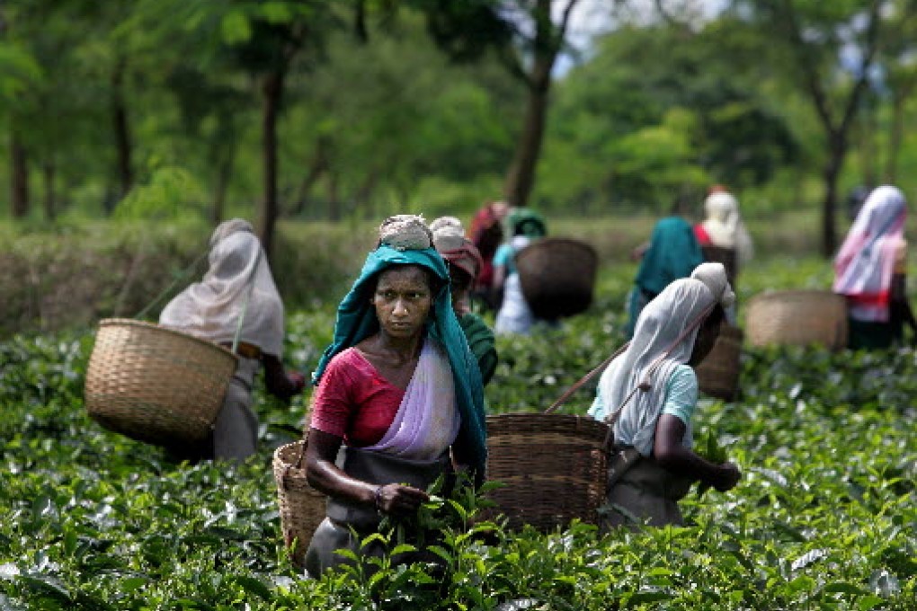 The majority of Indian women are still employed in the agricultural and construction sectors. Photo: AP