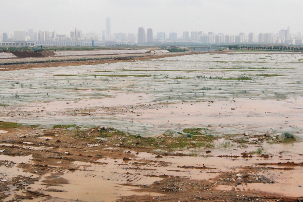 The authorities are considering allowing private equity funds based in Qianhai to invest throughout the mainland. Photo: Edward Wong