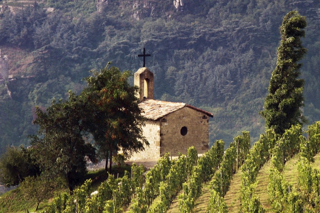 Wealthy Chinese are buying higher-value wine estates in France, particularly Bordeaux, and companies are now buying too. Photo: Bloomberg