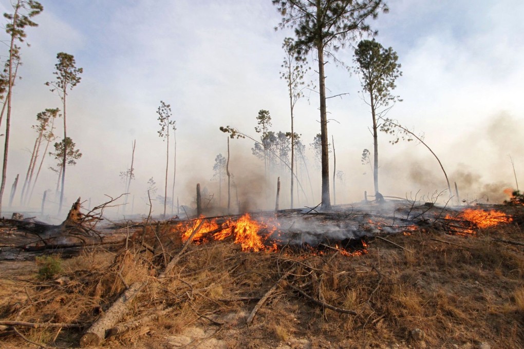 A  wildfire burning the area of Calamuchita Valley in the Argentine province of Cordoba. Photo: AFP