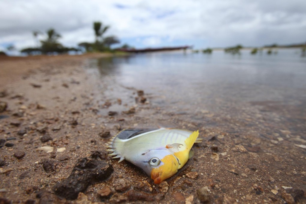 A brown plume of sweet, sticky liquid was spotted seeping into Honolulu Harbour. Photo: Reuters