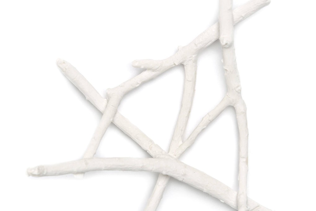 Petrified twig soap holder, HK$175, from I.D., Prince's Building, tel: 2523 3006.