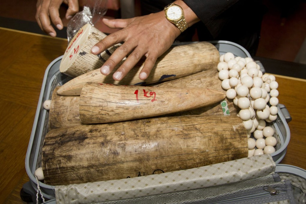 Hong Kong is the largest legal ivory market in the world. Photo: AP