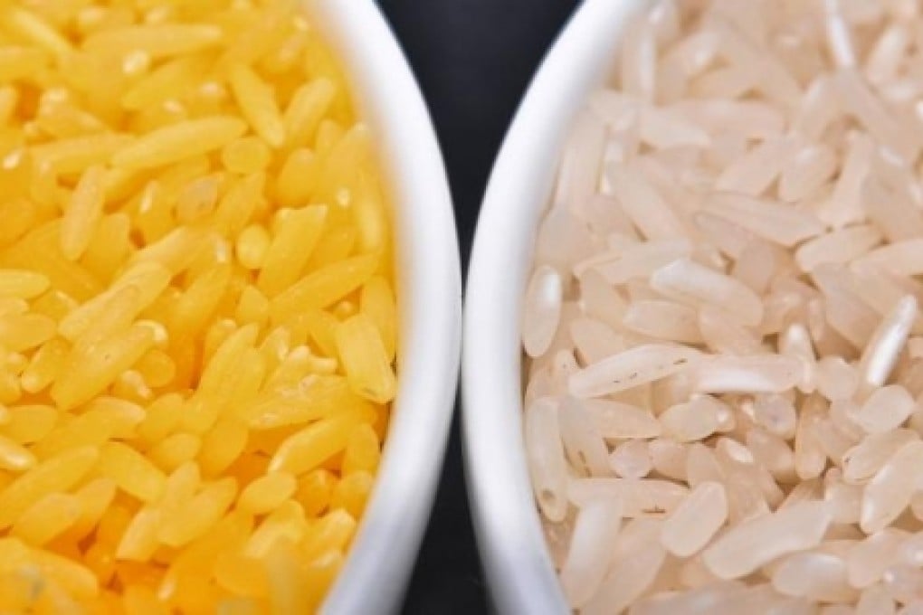 Hunan primary-school pupils were used to study the nutritional value of the genetically modified golden rice strain. Photo: CPS
