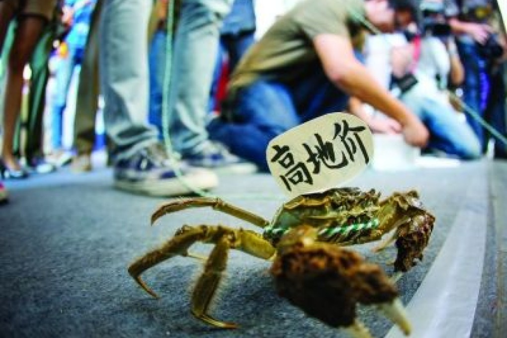 A Nanjing man who was angry at the city’s spiking property prices protested by walking six crabs to the annual housing expo held in the Jiangsu capital on Thursday. Photo: Weibo screenshot
