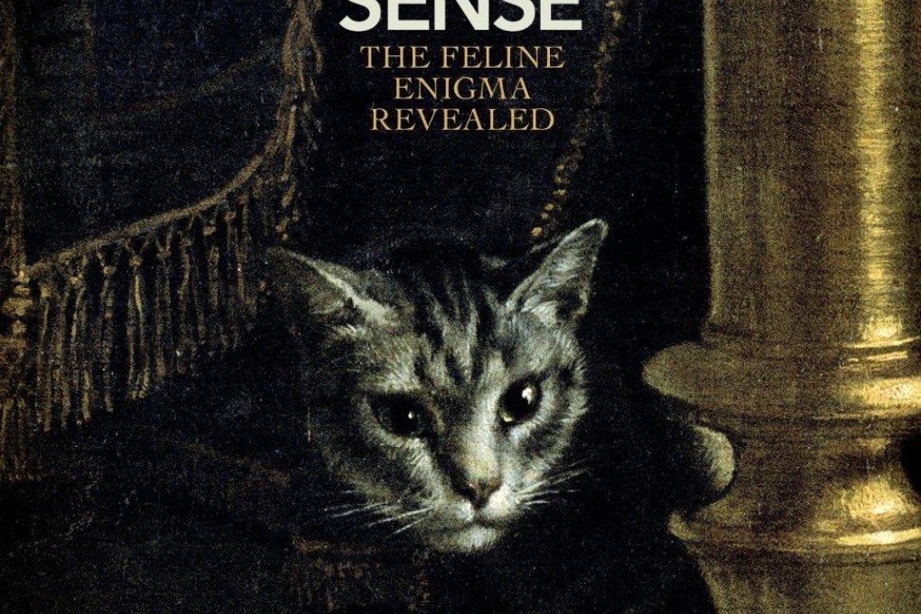 Cat Sense: The Feline Enigma Revealed
