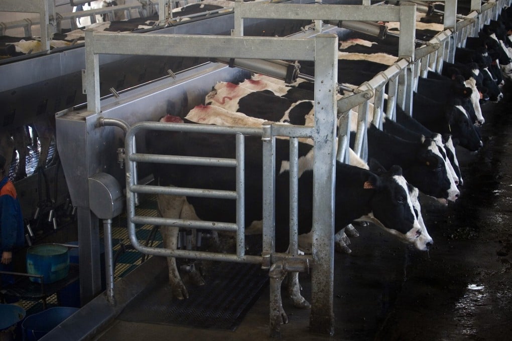 Don your sleuth's hat to enter Huishan's prospectus maze