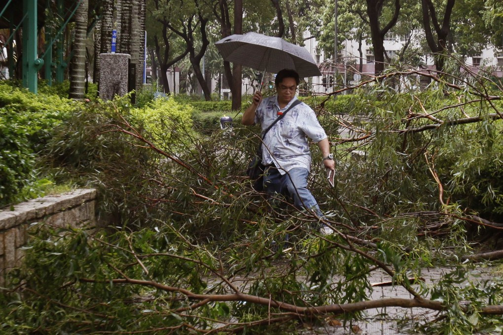 A man walks over fallen branches on a pavement at a residential district after Typhoon Usagi hit Hong Kong. Photo: Reuters