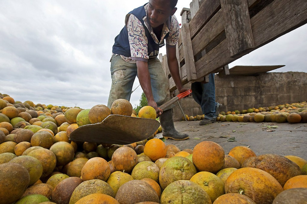 Two fruit juice companies have been ordered to suspend production to assist an investigation after a media report that they had used rotten or unripe fruit in their products. Photo: Bloomberg