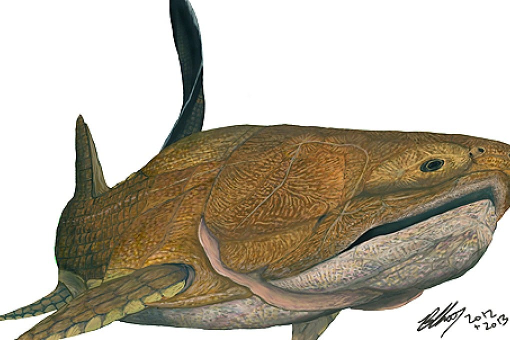 The Entelognathus, an old armoured fish with complex small skull and jaw bones, is believed to be a missing link in the development of vertebrates. Photo: AFP