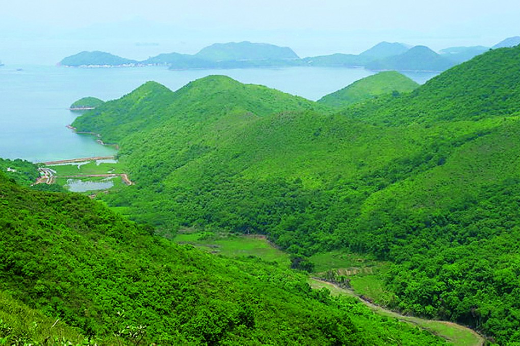 Property analysts say releasing land in Hong Kong's country parks should be considered as one of the options to help solve the city's housing shortage.