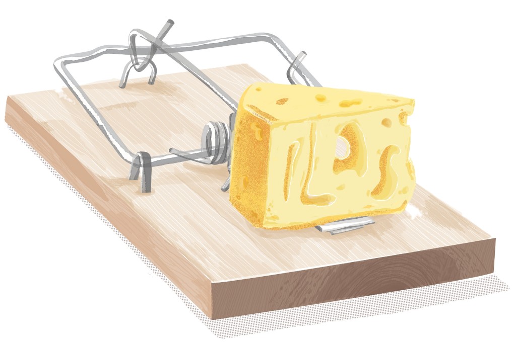 Illustration: Sarene Chan