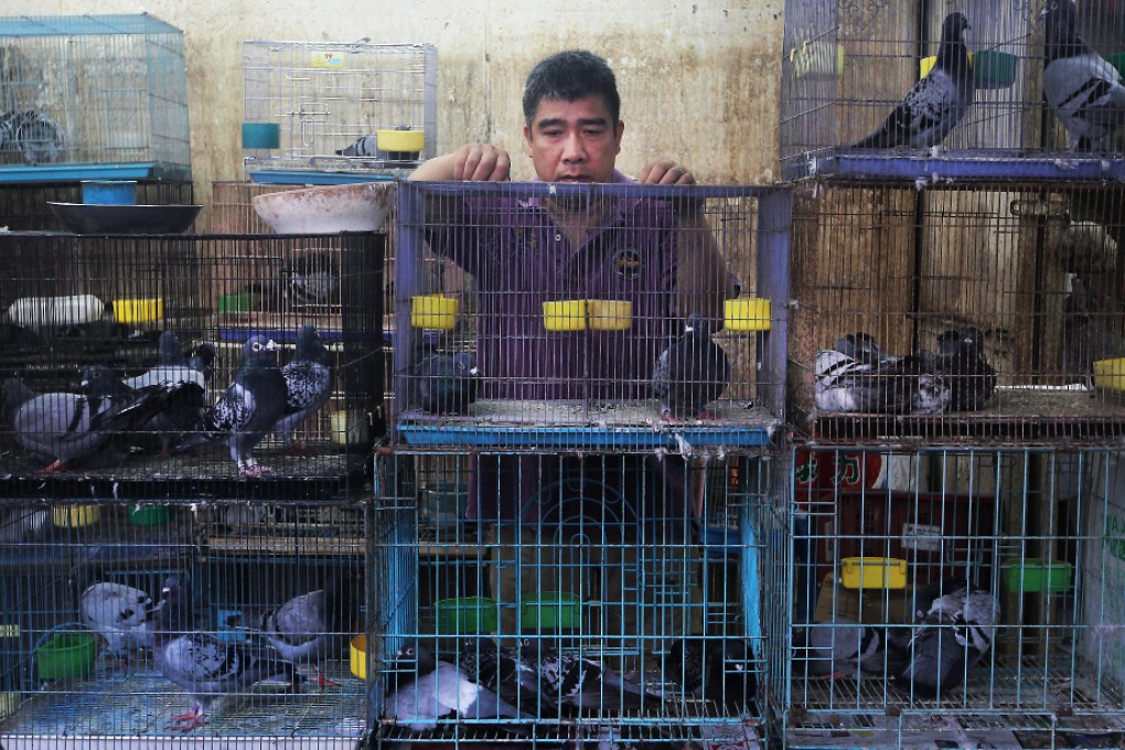 Eric Leung, the owner of the store on Yan Shun Lane, must relocate to Mong Kok as part of the area's makeover. Photo: Sam Tsang