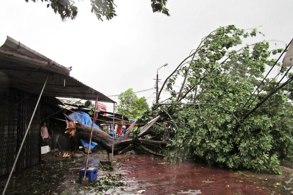People take shelter beside a fallen tree as strong winds batter the coastal area in the Ky Anh district of Vietnam's central Ha Tinh province. Photo: AFP