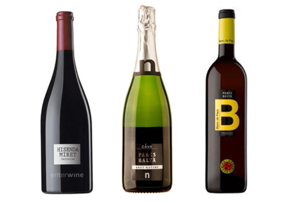 Wine tasting: Pares Balta from northeast Spain