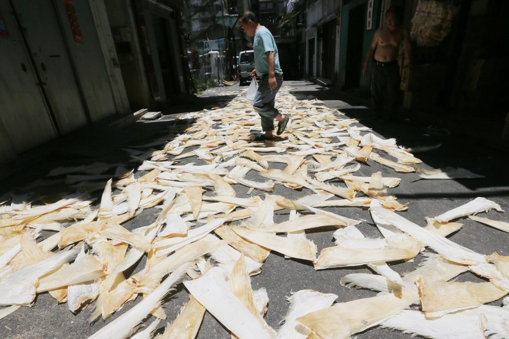 A worker arranging shark fins at Chung Ching Street in Sheung Wan on June 1, 2013. Photo: SCMP/Sam Tsang