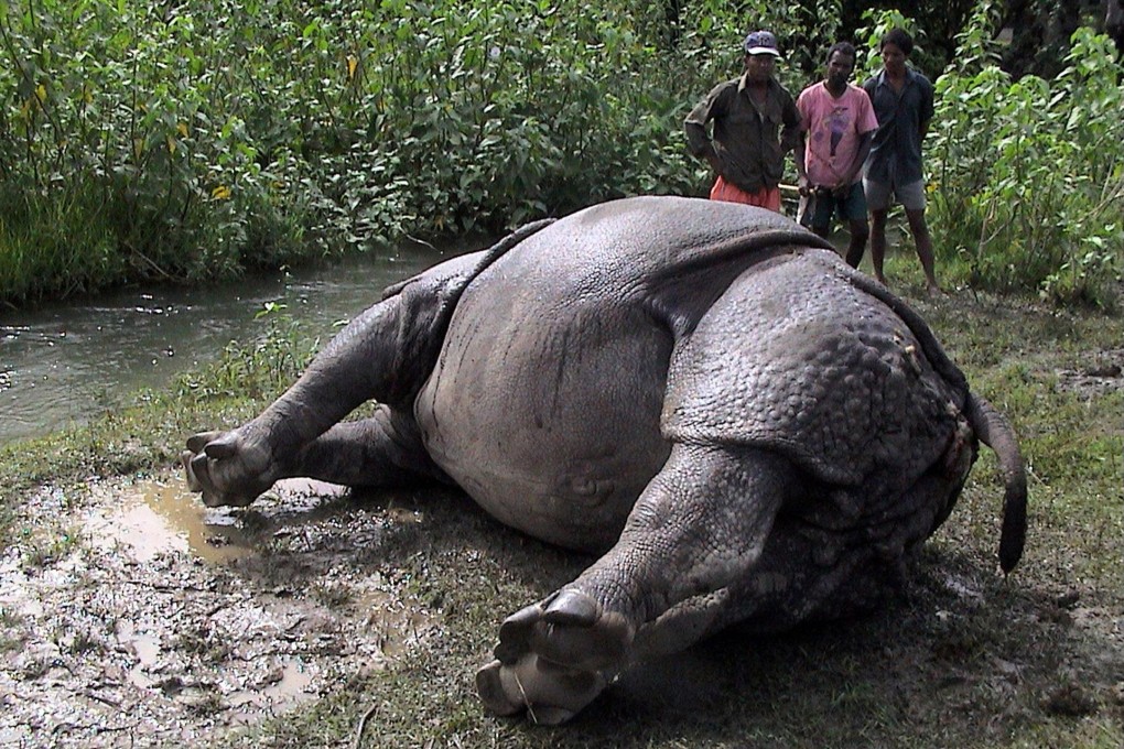 Rhino poaching in Nepal carries a maximum penalty of 15 years in jail and a 100,000-rupee (HK$7,790) fine.