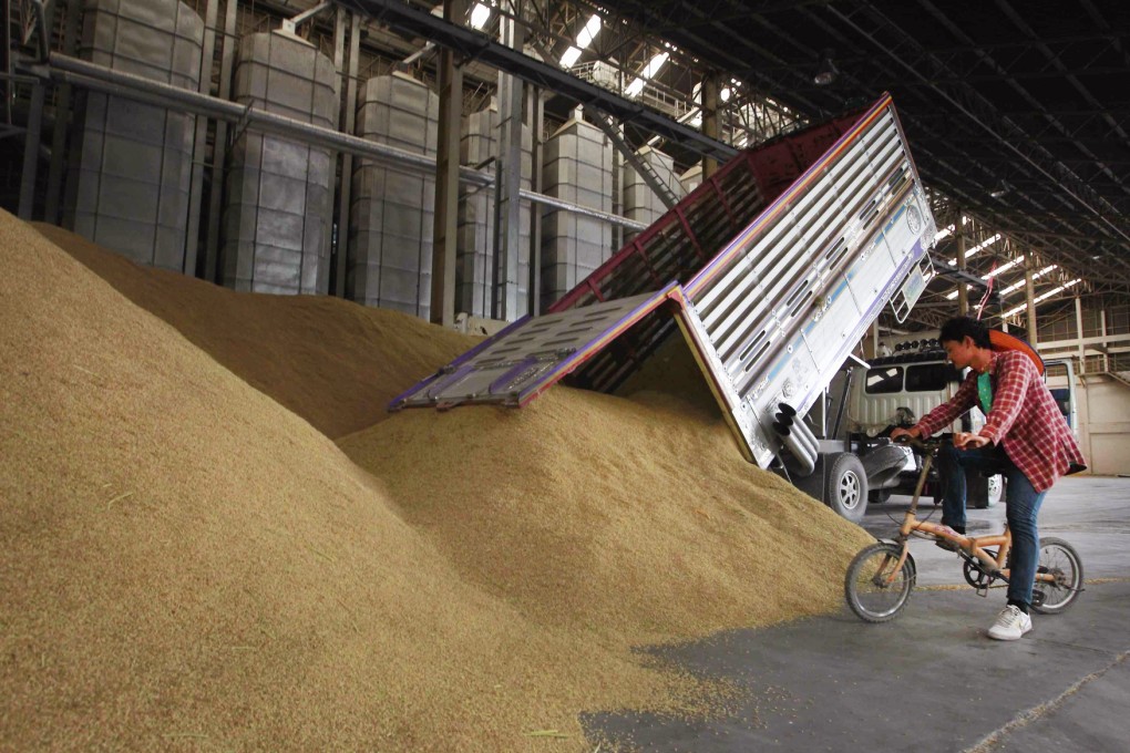 Thailand's government warehouses are bursting at the seams with 16 million tonnes of rice, about half of annual global trade. Photo: Reuters