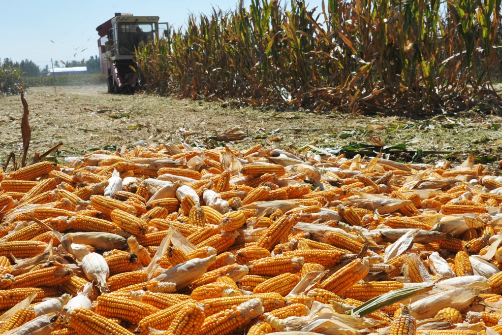 Heilongjiang province is the mainland's biggest producer of grain. Photo: Xinhua