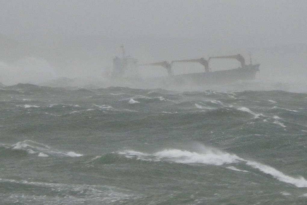 The cargo ship near Pohang harbour, South Korea. Photo: Xinhua