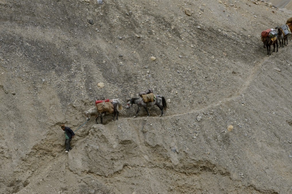 Horseman Sadanand leads his mules down a mere wisp of a path in the Parang River Valley.