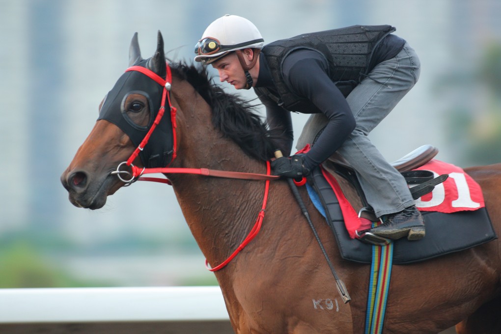 Euro Swiftly has not won in nearly 20 months, but he is now down into the middle of Class Four. Photo: Kenneth Chan
