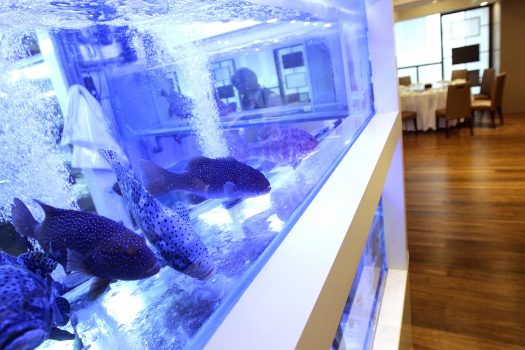 The live tank. Photos: David Wong