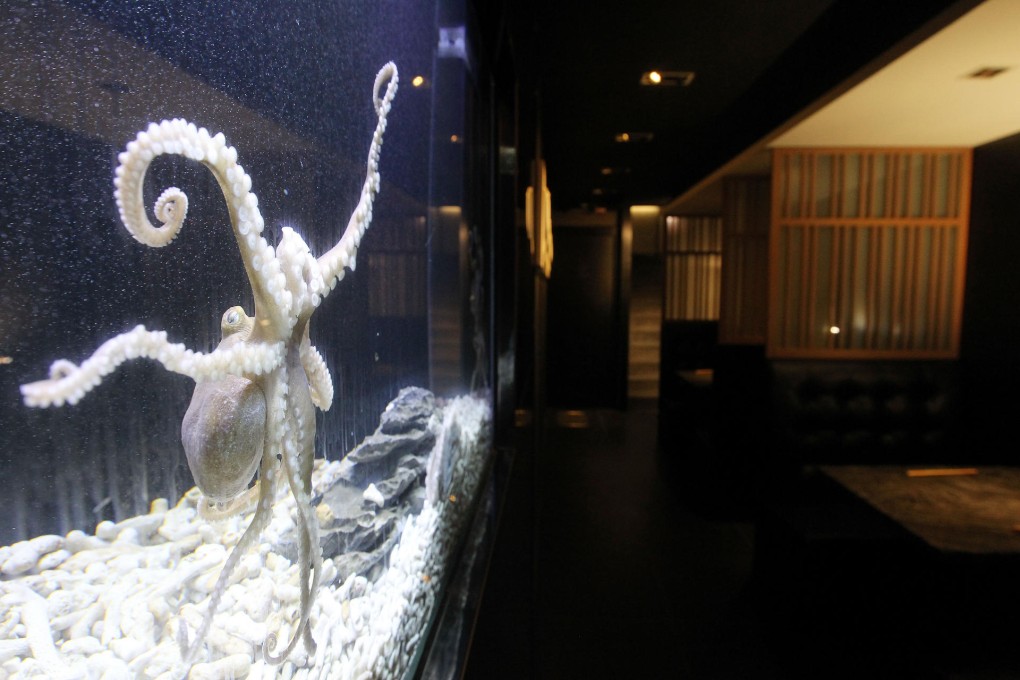 The live tank. Photos: Edward Wong